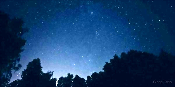 East Belfast Road Closure: Templemore Avenue Shut Down Due to Ongoing Police Investigation - Belfast Live